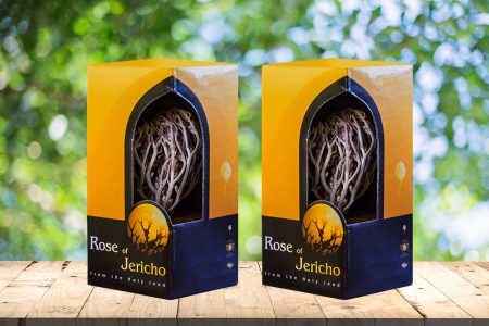2 Large Packages Rose of Jericho