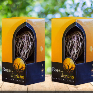 2 Large Packages Rose of Jericho