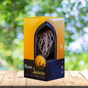 Large Package Rose of Jericho